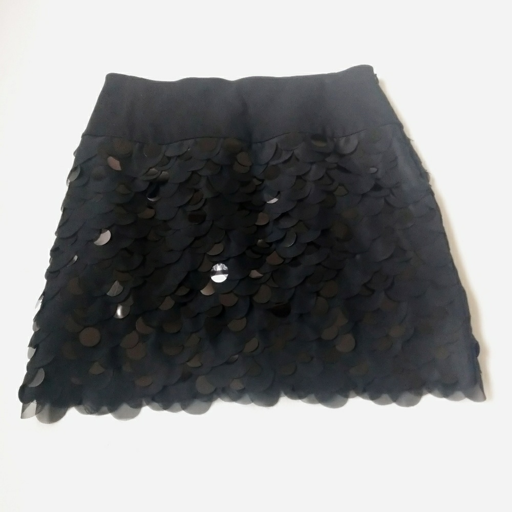 Ann Taylor Sequins Skirt